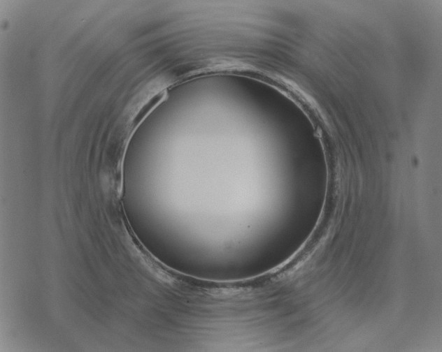 X0000074261281200609081727