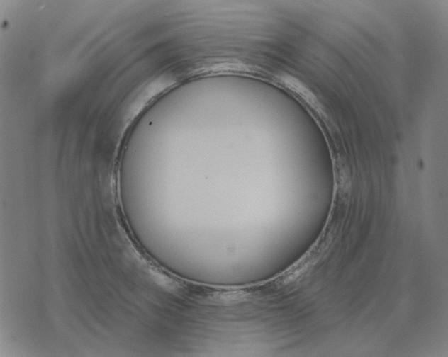 X0000074261282200609081727