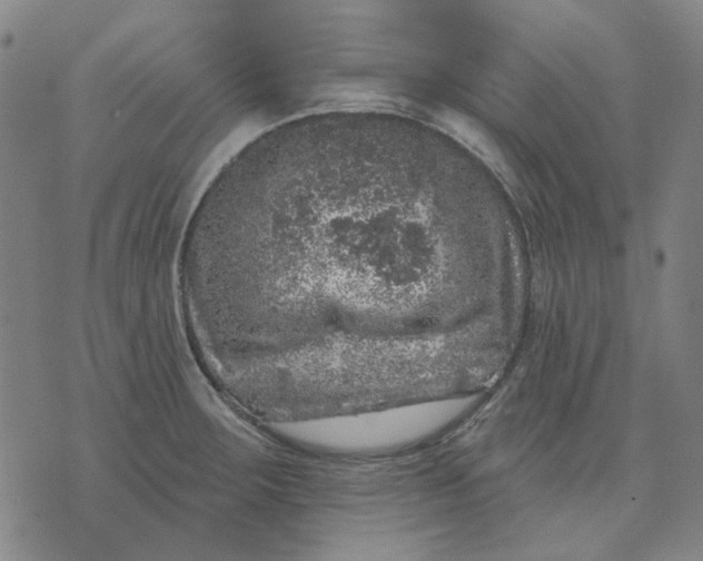 X0000074261283200609081727