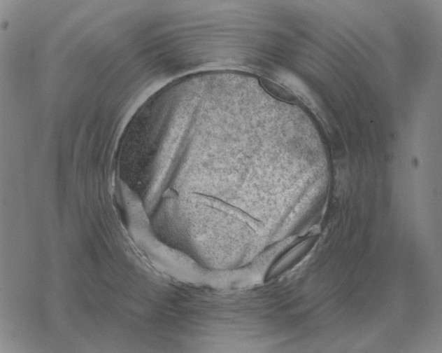 X0000074261284200609081727