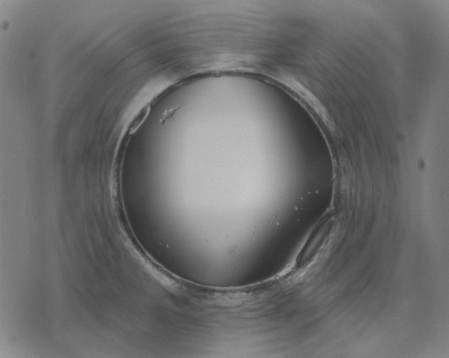 X0000074261285200609081727