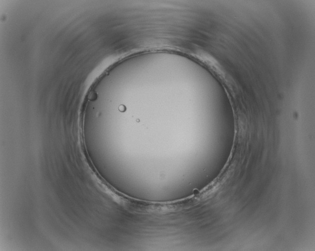 X0000074261286200609081727