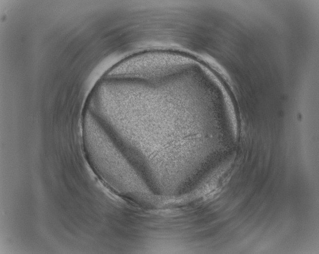 X0000074261287200609081727