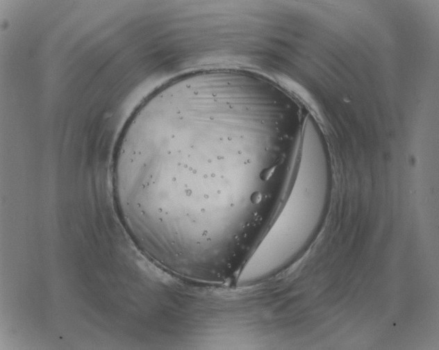 X0000074261288200609081727