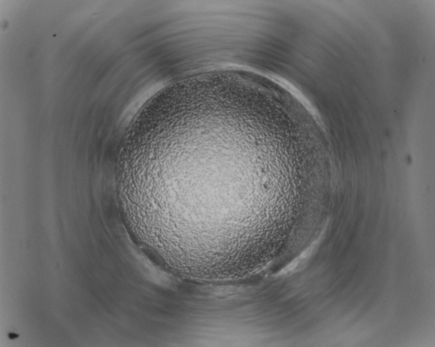 X0000074261289200609081727