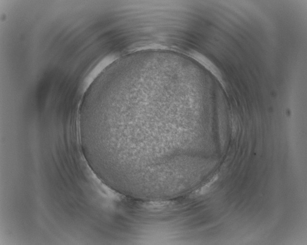 X0000074261290200609081727