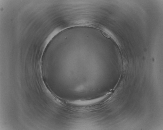 X0000074261291200609081727