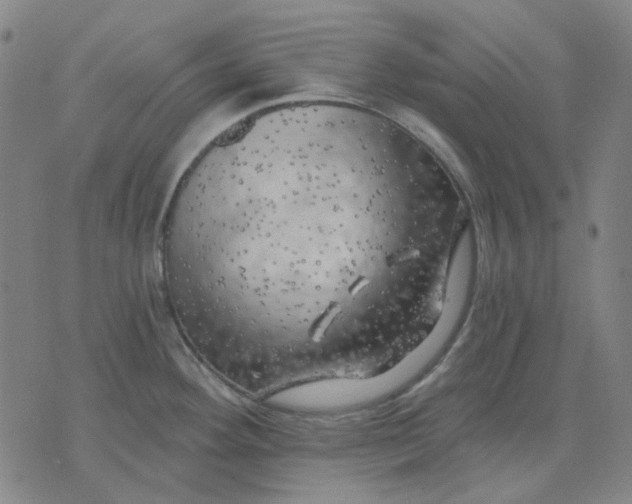 X0000074261292200609081727