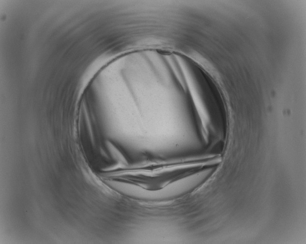 X0000074261296200609081727