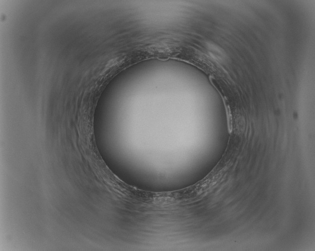 X0000074261297200609081726