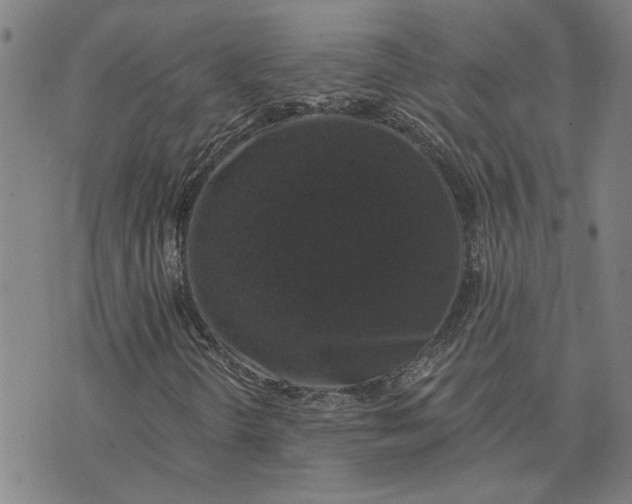 X0000074261298200609081726