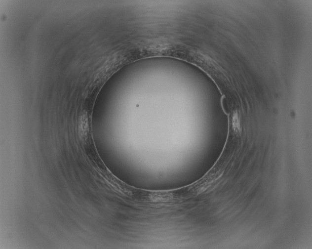 X0000074261299200609081726