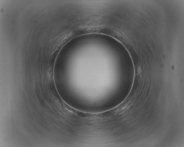 X0000074261300200609081726