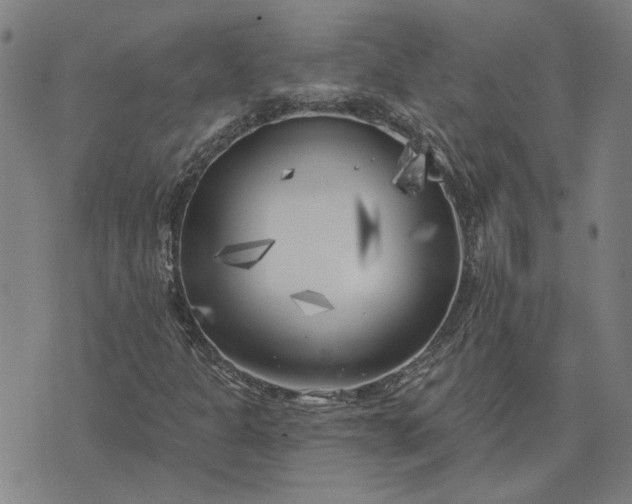 X0000074261301200609081726