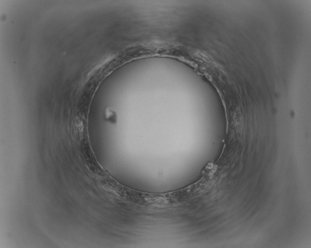 X0000074261302200609081726