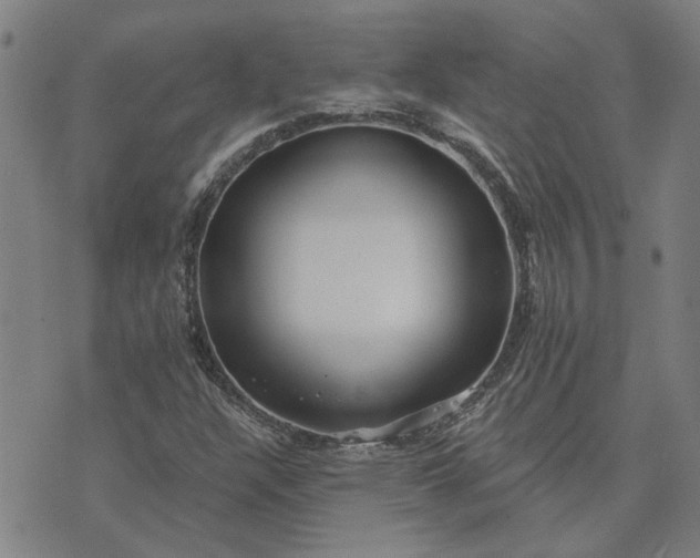 X0000074261304200609081726