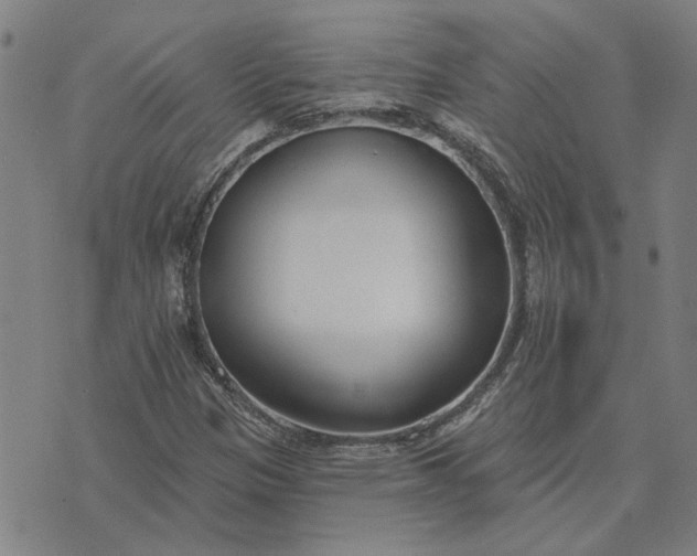 X0000074261305200609081726