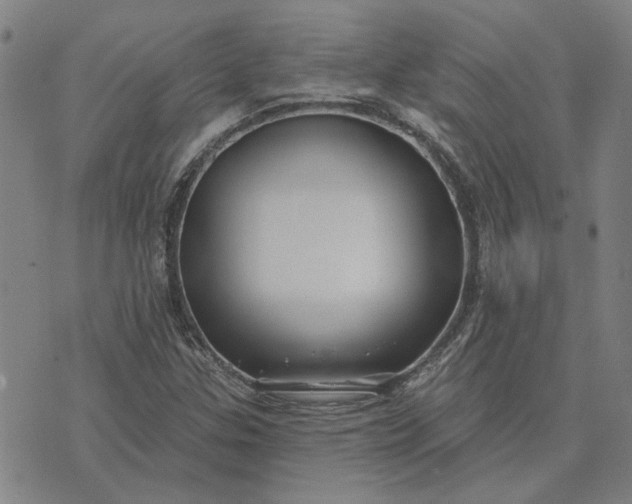 X0000074261307200609081726