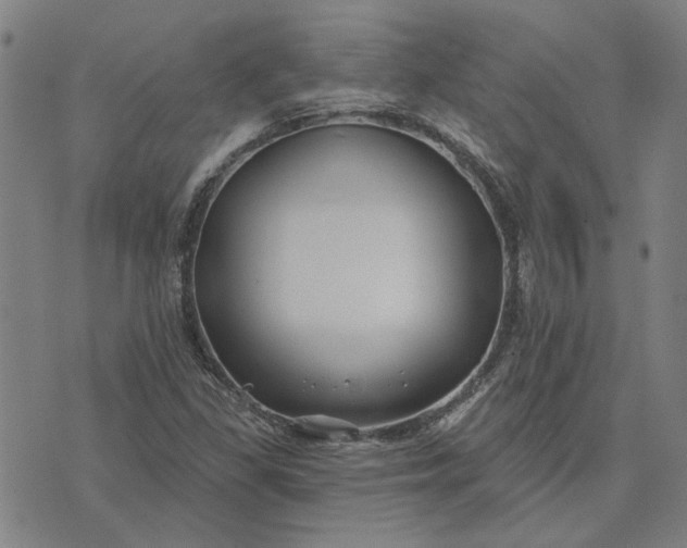 X0000074261309200609081726