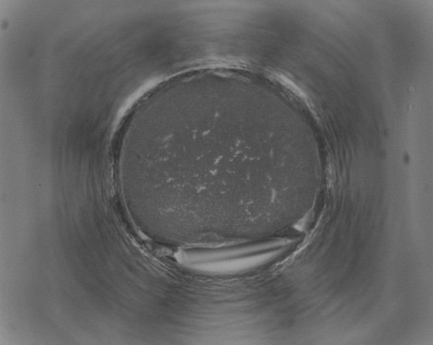 X0000074261310200609081726