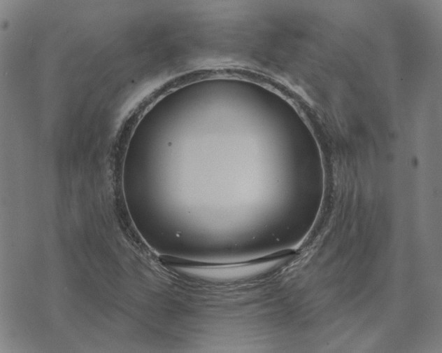 X0000074261311200609081726