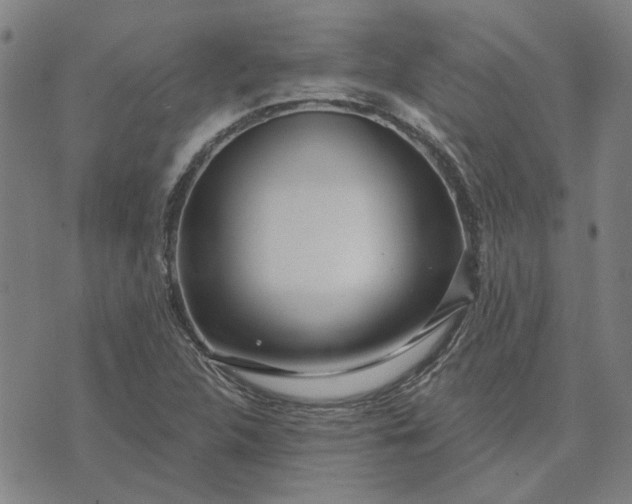 X0000074261312200609081726