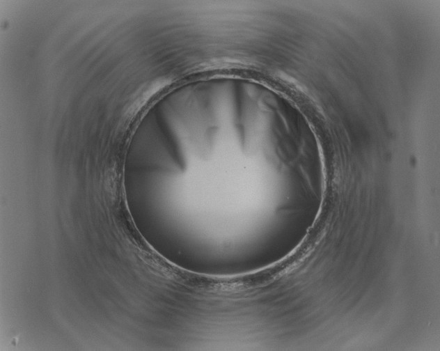 X0000074261313200609081726