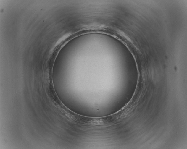 X0000074261315200609081726