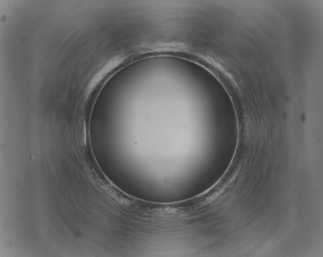 X0000074261317200609081726