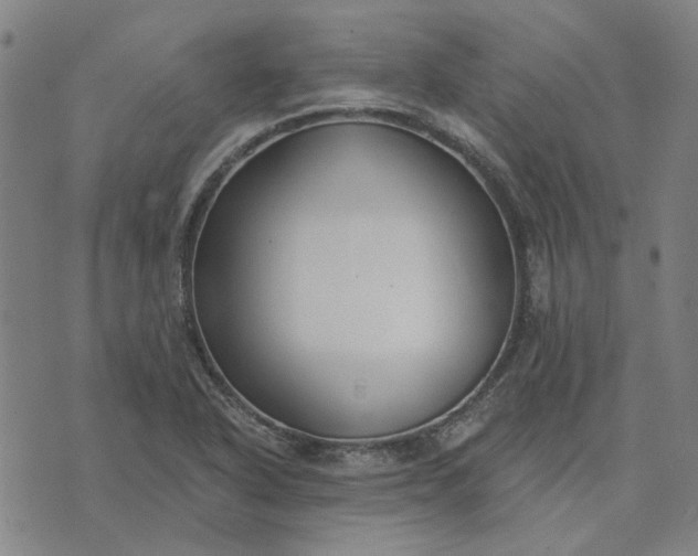 X0000074261318200609081726