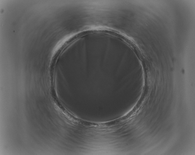 X0000074261319200609081726