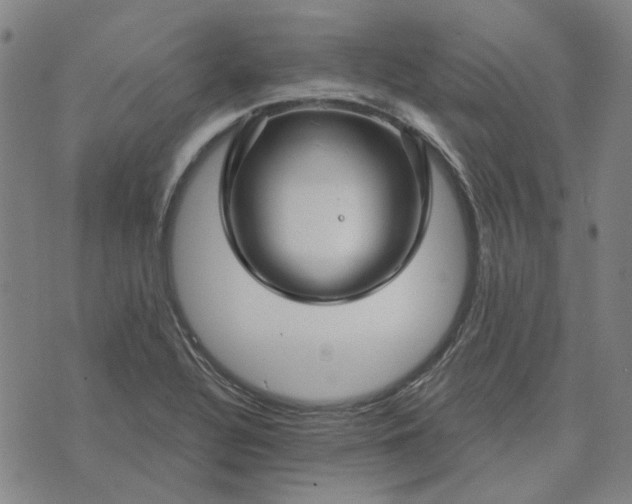 X0000074261320200609081726