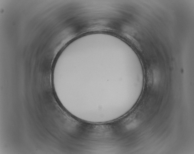 X0000074261322200609081726