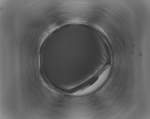 X0000074261323200609081726