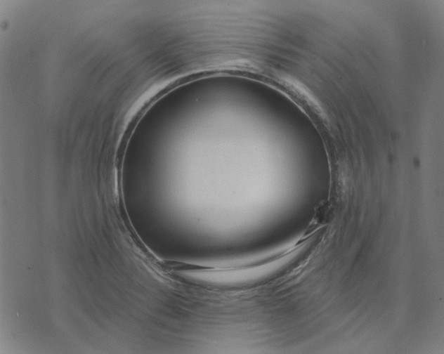 X0000074261324200609081726