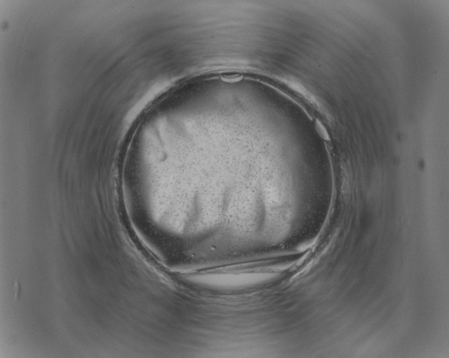 X0000074261325200609081726