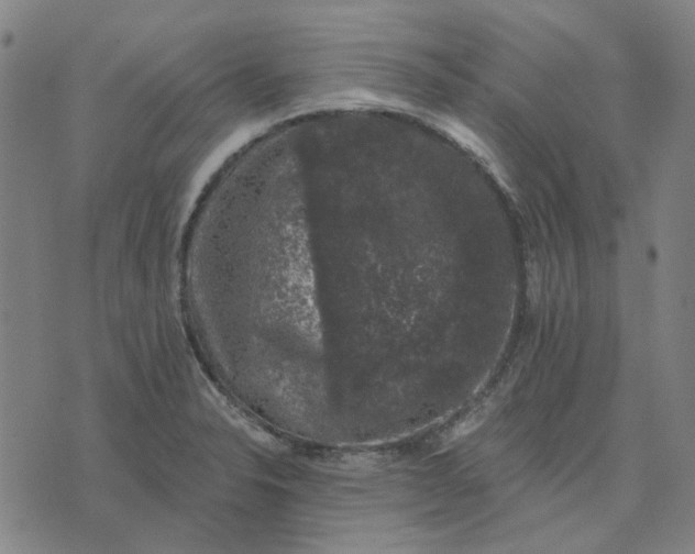 X0000074261326200609081726