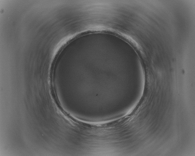 X0000074261327200609081726