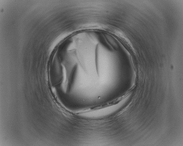 X0000074261328200609081726