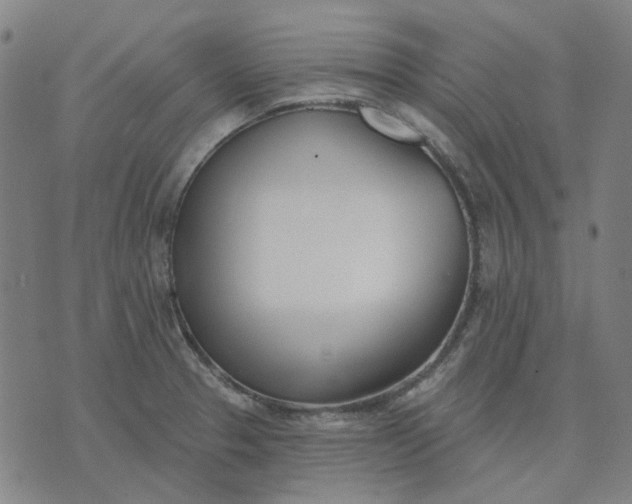 X0000074261329200609081726