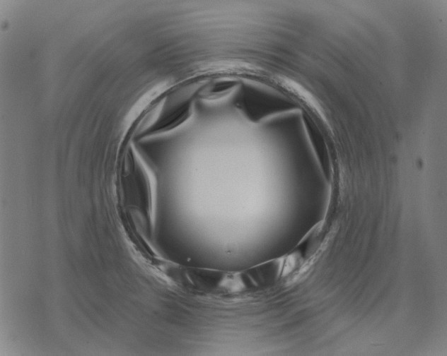 X0000074261330200609081726