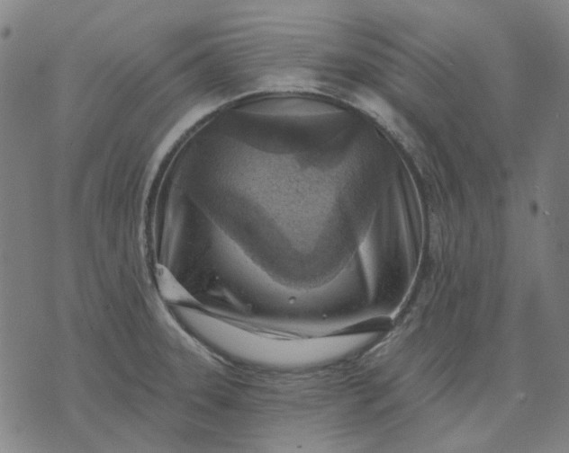 X0000074261331200609081726