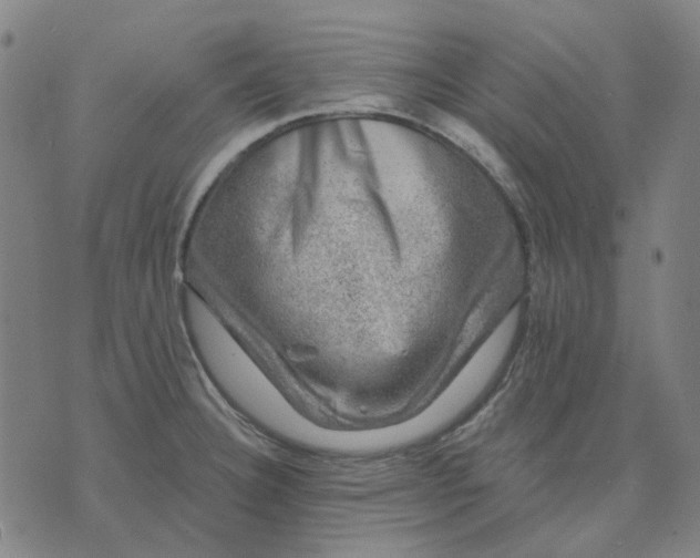 X0000074261332200609081726