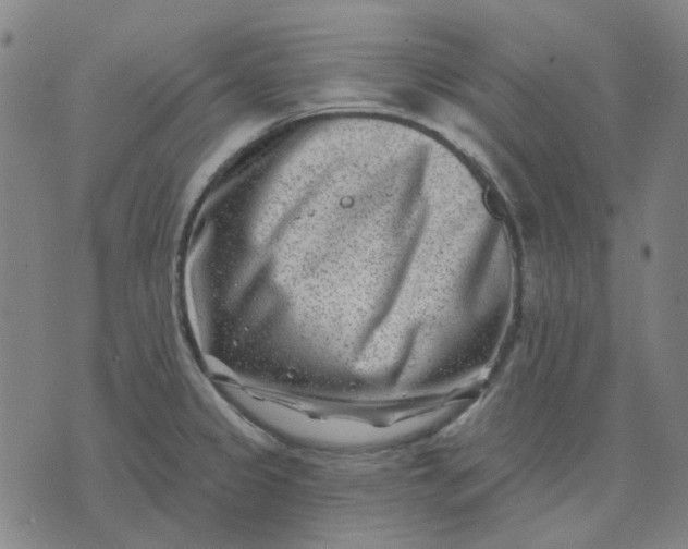 X0000074261333200609081726