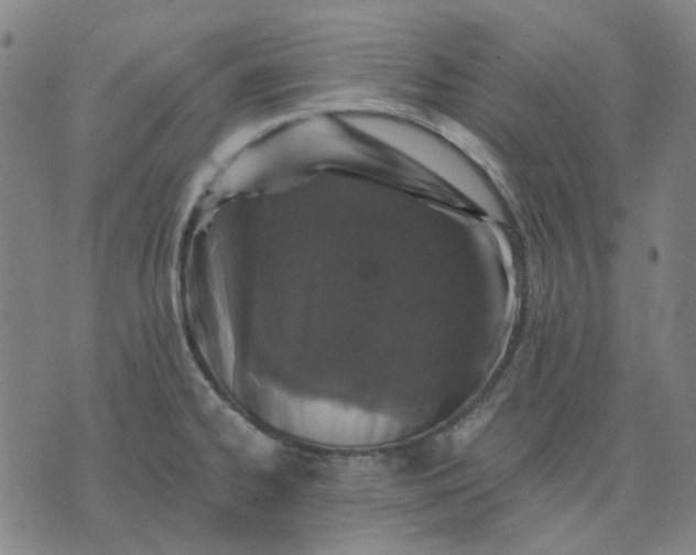 X0000074261334200609081726