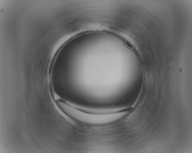 X0000074261335200609081726