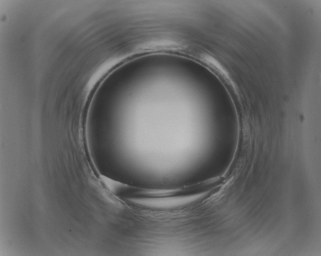 X0000074261336200609081726