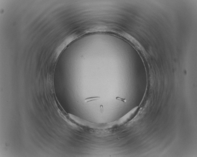 X0000074261337200609081726