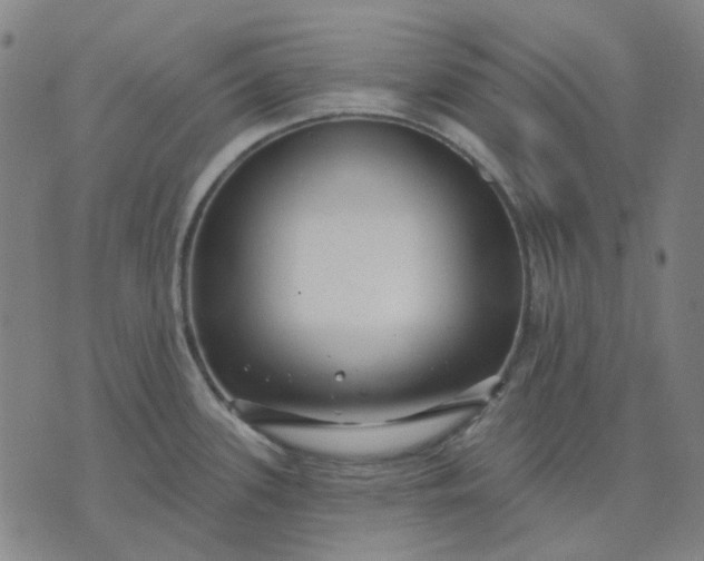 X0000074261339200609081727