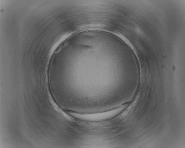 X0000074261341200609081727